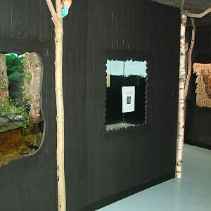 Vivaria at Birdland 19/09/09