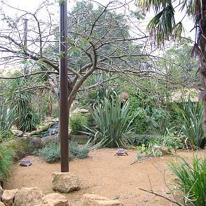 Madagascar walk-through at Cotswold WP 19/09/09