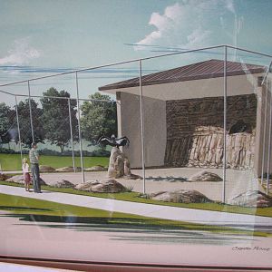 Future California Condor Display