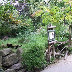 Michie's Tufted Deer exhibit