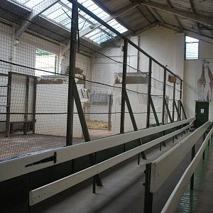 giraffe house inside