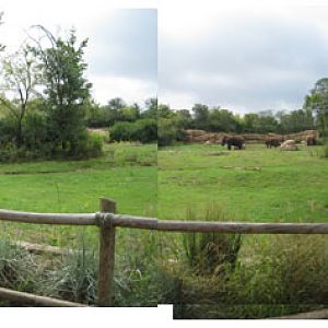 Nashville Sept 20-21, 2009