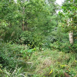 Nashville Sept 20-21, 2009