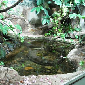 Nashville Sept 20-21, 2009