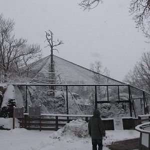 The walk-through aviary at Skansen