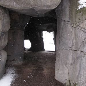 bear cave viewing at Skansen