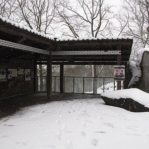 More bear viewing area at Skansen