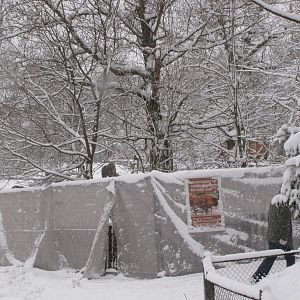 Work being done on new bison enclosure at Skansen