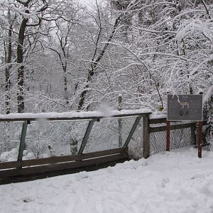 European lynx enclosure at Skansen