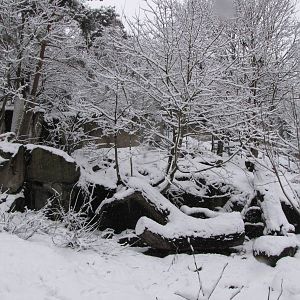 Enclosure at Skansen