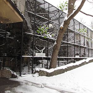 Ring-tailed lemur enclosure at Skansen-Akvariet
