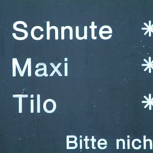 Berlin's three brown bears