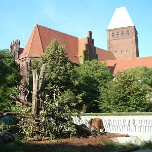 Berlin's three brown bears