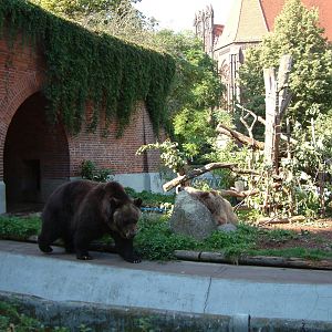 Berlin's three brown bears