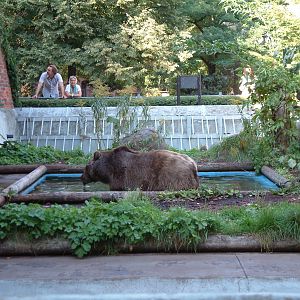 Berlin's three brown bears
