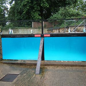 View of Penguin Pool