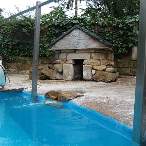 View of Penguin Pool and Safety Barrier to stop the staff from falling in.