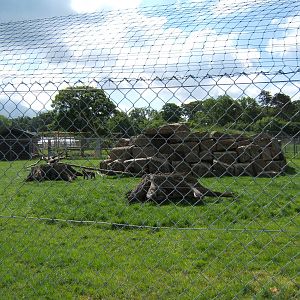 Trotters Animal World