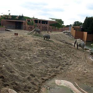Copenhagen Zoo - Elephant Enclosure
