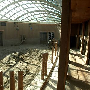 Copenhagen Zoo - Elephant House