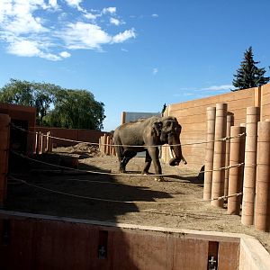 Copenhagen Zoo - Elephant Enclosure