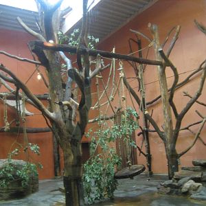 Borås Zoo - Monkey indoor exhibit