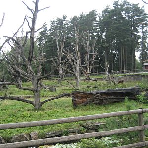 Borås Zoo - Monkey islands