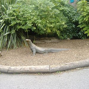 Komodo dragon statue at Chester Zoo, 21 September 2009