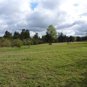 1-Acre Kulan Enclosure