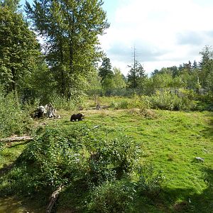 1.5 Acre Grizzly Bear Exhibit