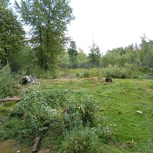 1.5 Acre Grizzly Bear Exhibit