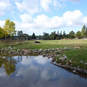 4-Acre African Savanna