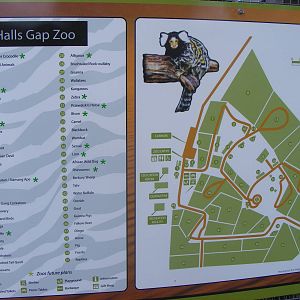 Hall's Gap Zoo in the Future - September, 2009