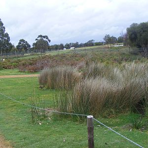 Walk-through Enclosure - September, 2009