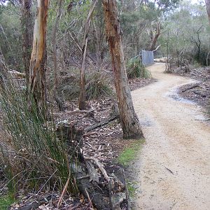Path - September, 2009