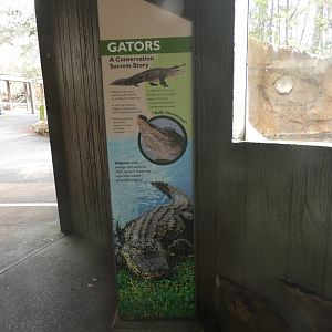 American Alligator Signage