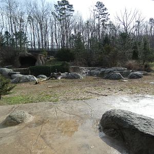 Polar Bear exhibit