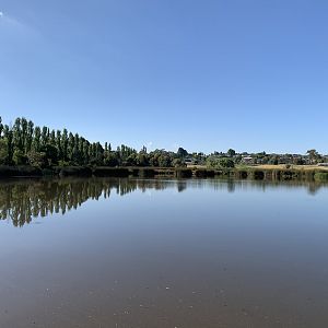 Ploughman’s Wetland, Orange