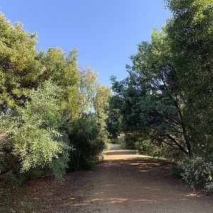 Ploughman’s Wetland Path