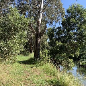 Molong Creek, Lake Canobolas