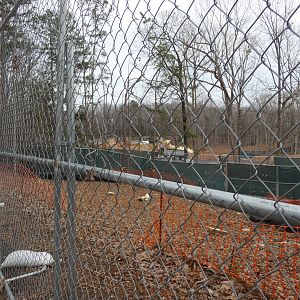 Asia expansion construction