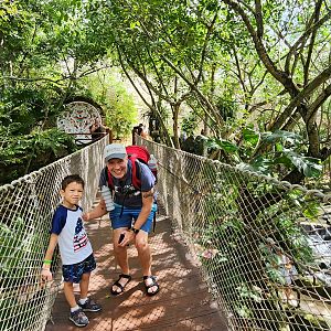 Main aviary - swinging bridge
