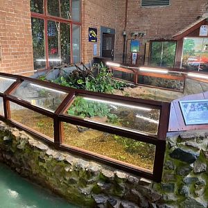 Tropical Hall - Exhibit for Golden skiffia and Tequila splitfin 051122