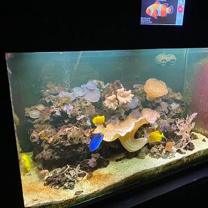 Aquarium 051122