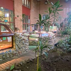 Tropical Hall 051122