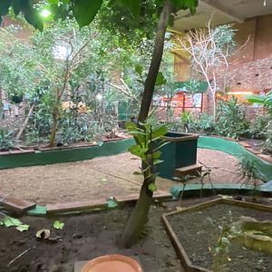 Tropical Hall 051122