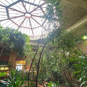 Tropical Hall 051122