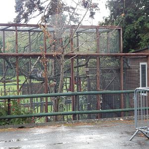 Common marmoset enclosure 051122