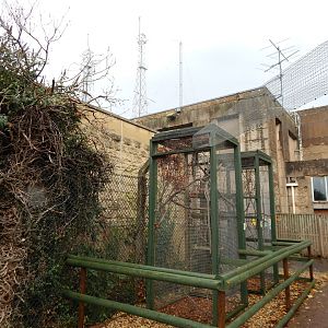 North American red squirrel enclosure 051122