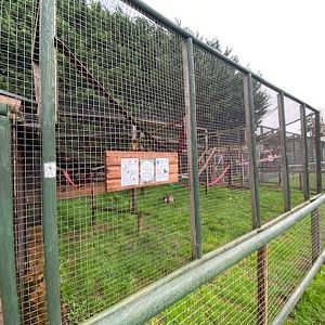 Lemur enclosure 051122